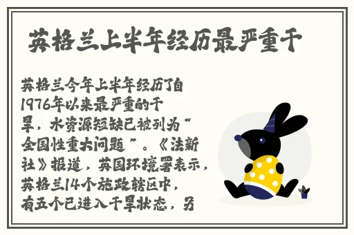 女婿见面他都要好几次